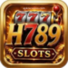 H789 Game